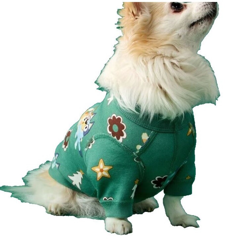 Hanna Andersson Dog Pajamas Bluey Holiday Organic Cotton Large NWOT